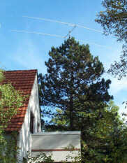 dj7ic tree antenna